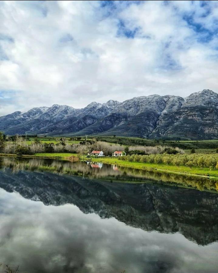 Fraaigelegen Farm - Home Of Adhara Evoo タルバ エクステリア 写真