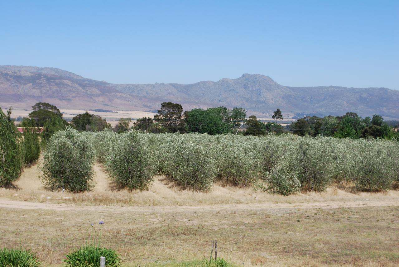 Fraaigelegen Farm - Home Of Adhara Evoo タルバ エクステリア 写真