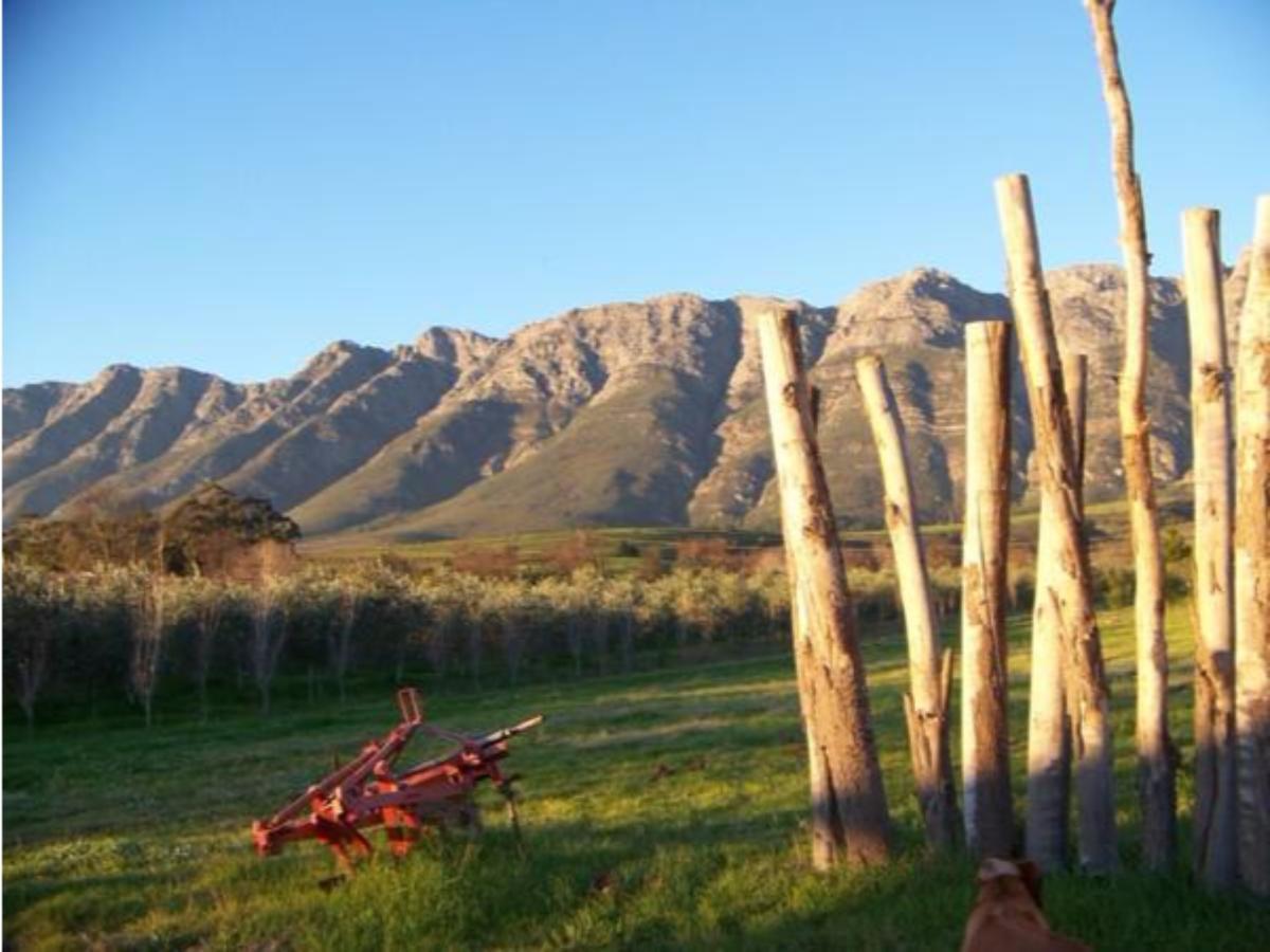 Fraaigelegen Farm - Home Of Adhara Evoo タルバ エクステリア 写真