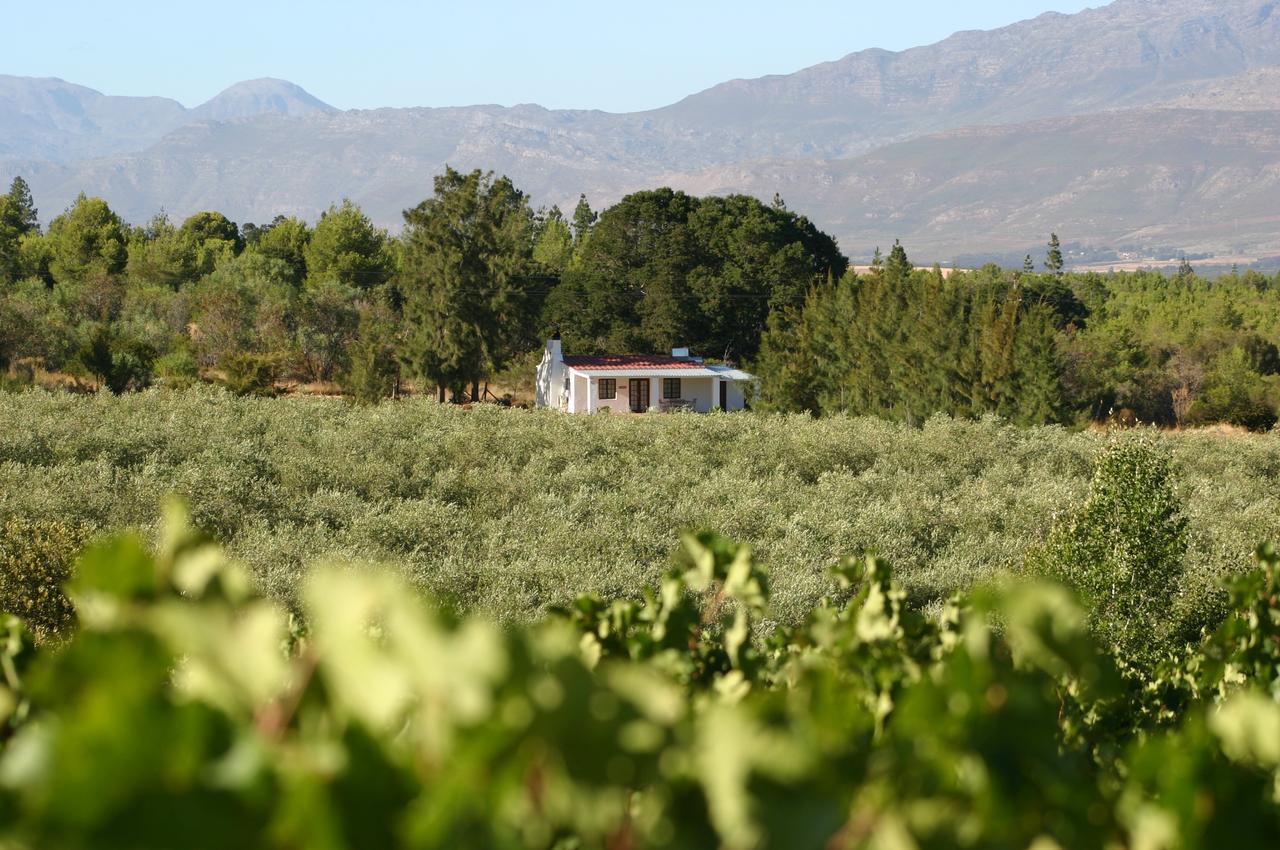 Fraaigelegen Farm - Home Of Adhara Evoo タルバ エクステリア 写真