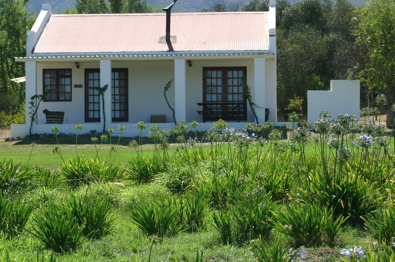Fraaigelegen Farm - Home Of Adhara Evoo タルバ エクステリア 写真