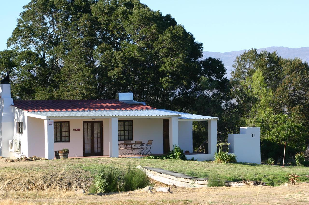 Fraaigelegen Farm - Home Of Adhara Evoo タルバ エクステリア 写真