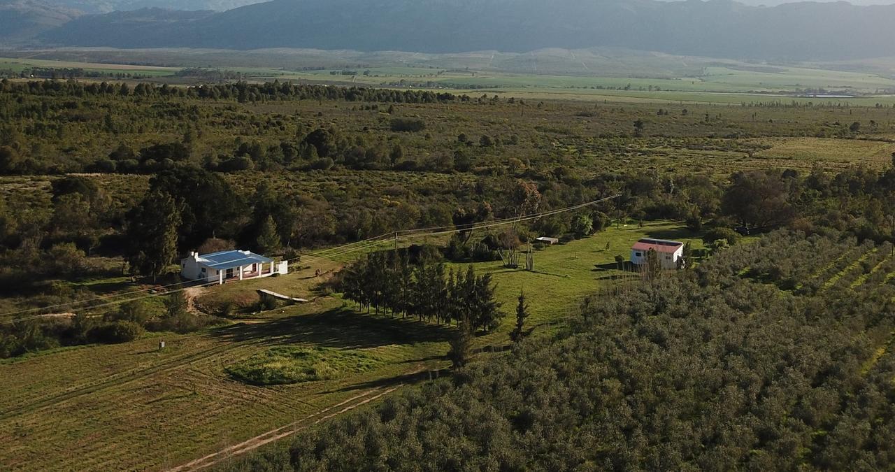 Fraaigelegen Farm - Home Of Adhara Evoo タルバ エクステリア 写真