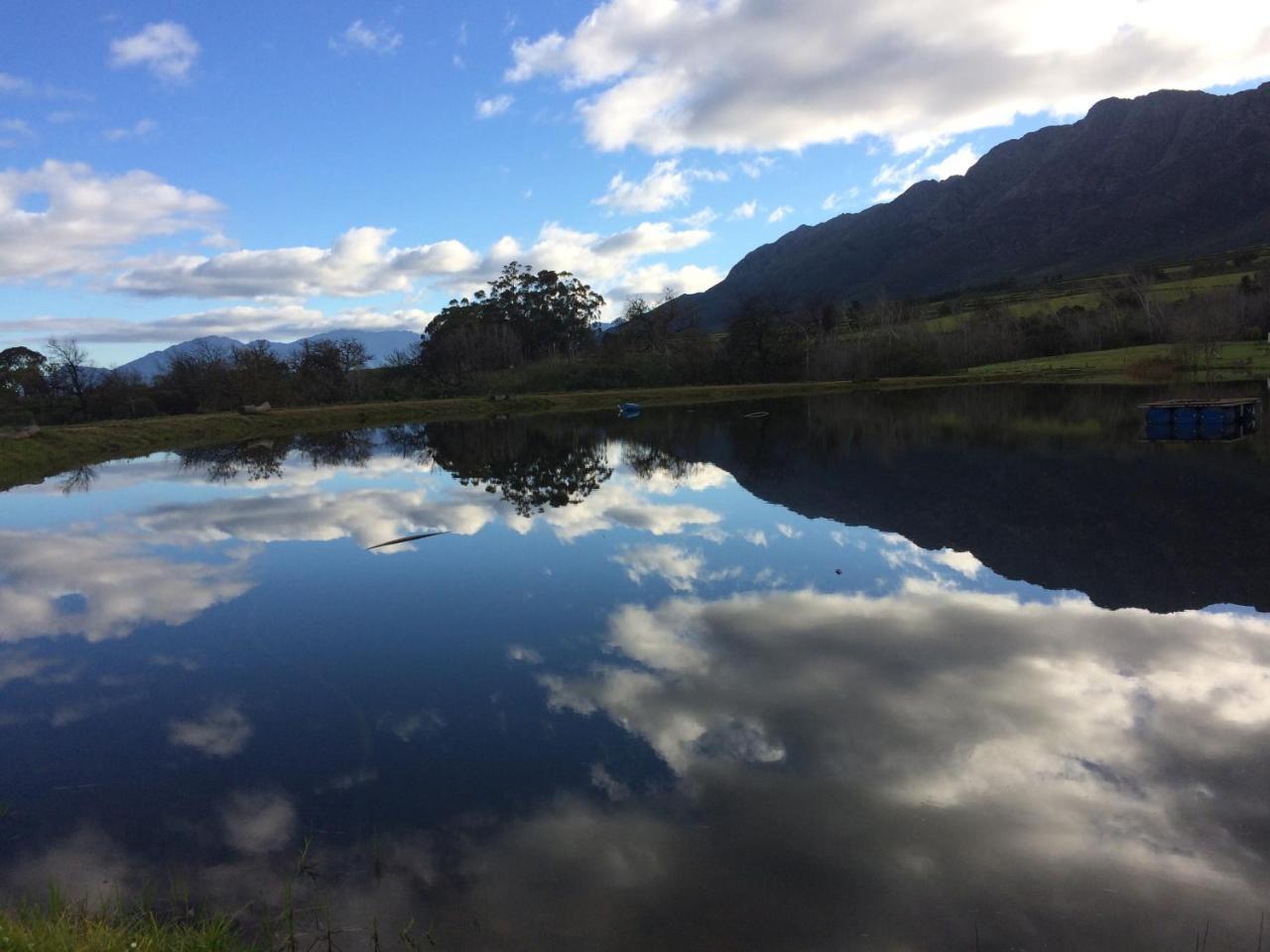 Fraaigelegen Farm - Home Of Adhara Evoo タルバ エクステリア 写真