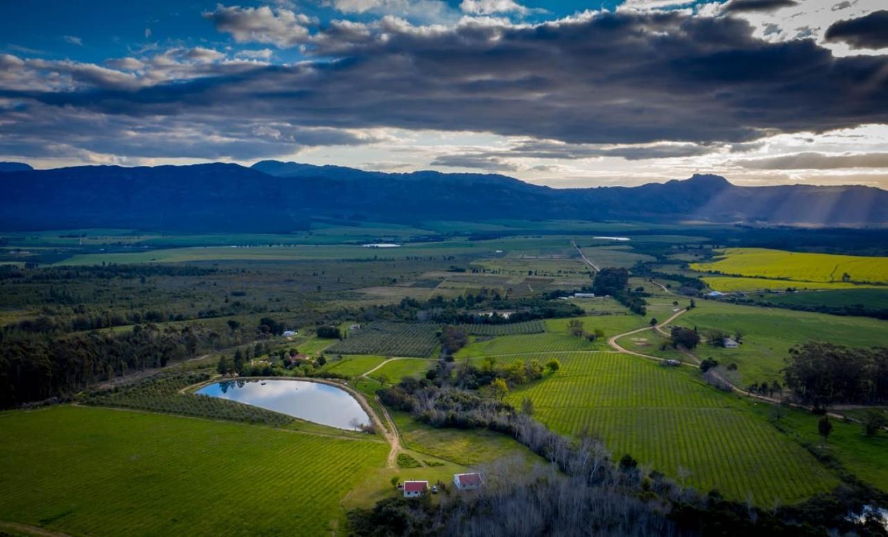 Fraaigelegen Farm - Home Of Adhara Evoo タルバ エクステリア 写真